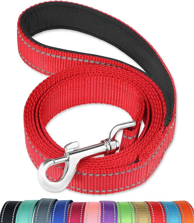 FunTags 6FT Reflective Dog Leash with Soft Padded Handle for Training,Walking Lead for Medium & Small Dogs,3/4 Inch Wide,RED
