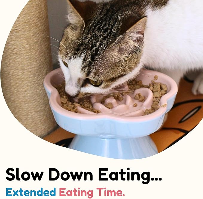 Detachable Slow Feeder Cat Bowl, Melamine Tilted Elevated Slow Eating Cat Bowls - Heavy Weighted, Non-Slip, Whisker Friendly, Dry & Wet Food, Dishwasher Safe (Pink + Orange, 5.8" x 2 Pack)