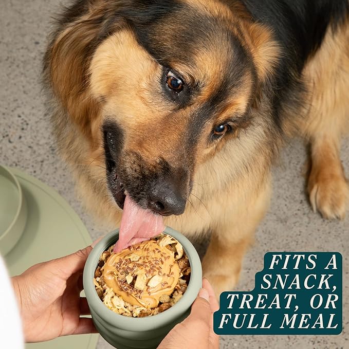 Should We Go? The Ripple Cup Natural Rubber Dog Enrichment Toy & Slow Feeder, Treat Dispensing Cup - Food-Safe Meal Feeder, Frozen Treat Dog Toy with Freezer Plug, Fits 3 oz - for Small Dogs