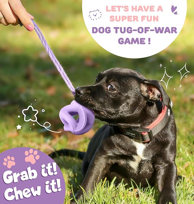 Dog Chew Toys for Aggressive Chewers, Natural Rubber/Interactive Dog Toy for Fetch & Tug, Indestructible Dog Toy - Anxiety Relief & Long Lasting & Training & Dishwasher Safe, Tough Dog Toy, Purple