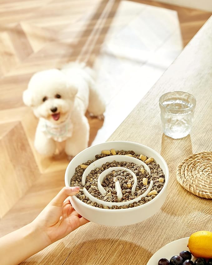 Ceramic Slow Feeder Dog Bowls, 2.0 Cups Slow Feeder for Medium Dogs, Puzzle Maze Bowl to Slow Down Eating, 30oz, 8in, White