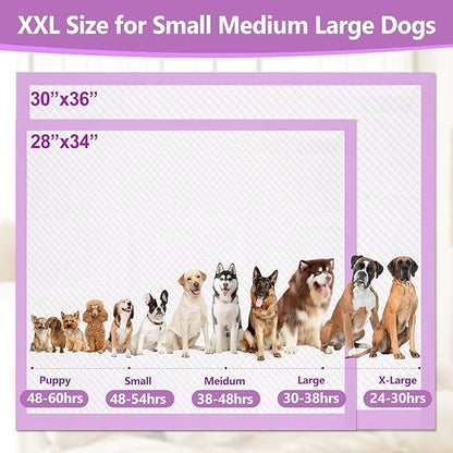 Gimars XL 6-Layer Ultra Absorbent 1200ml 48-Hour Leak-Proof Dog Pee Pads, Quick Dry Extra Large Puppy Pads for Puppy Training, Senior & Incontinent Dogs, Cats, Overnight Use, 30"x36", 30 Count