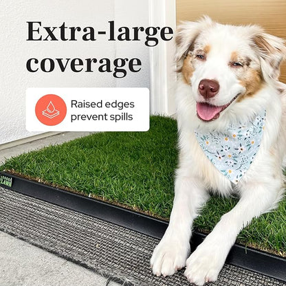 DoggieLawn XL Tray - Heavy Duty 4ft x 2ft Dog Potty Holder - Washable Reusable Floor Protection - Indoor/Outdoor Training Tray for Large Dogs