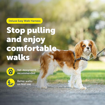 PetSafe Deluxe Easy Walk Harness - Trainer-Trusted Dog Chest Harness with Breathable Martingale Loop Design - Helps Stop Pulling with No Choking & Gagging - Small - Steel