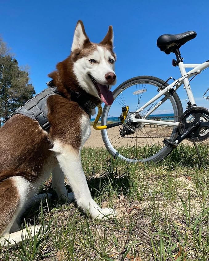 Quick Mount for Bike Tow Leash