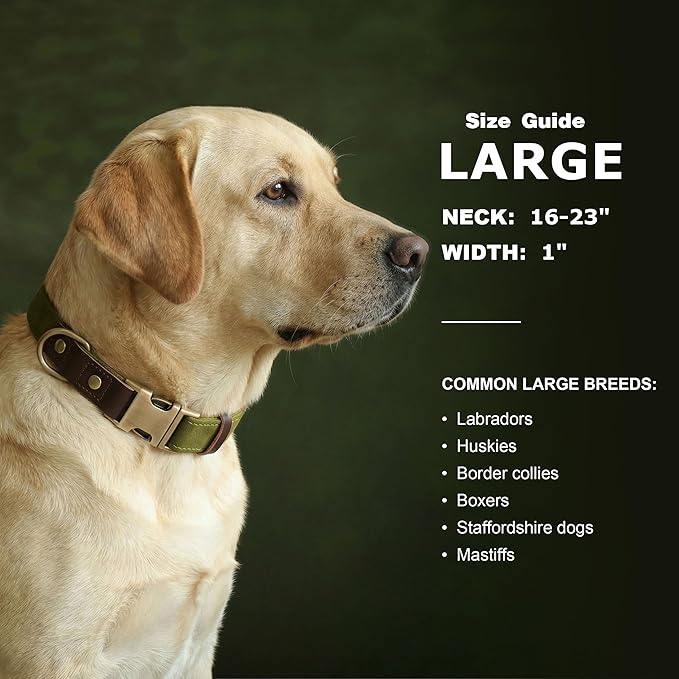 Didog Soft PU Leather Dog Collar for Large Dogs,Classic Adjustable Dog Collars with Quick Release Metal Buckle,Easy Clean and Comfortable with Nylon Lining,Olive Green,L Neck 16-23"
