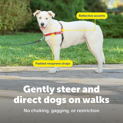 PetSafe Deluxe Easy Walk Harness - Trainer-Trusted Dog Chest Harness with Breathable Martingale Loop Design - Helps Stop Pulling with No Choking & Gagging - Medium/Large - Rose