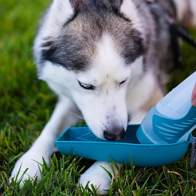 Messy Mutts Travel Water Bottle with Removable Bowl | 16 oz / 500 mL Teal Pet Portable Water Bowl and Bottle | Lightweight Pet Travel Accessory