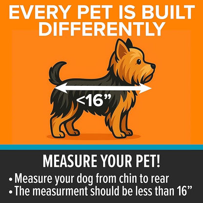 K&H Pet Products Buckle N Go Dog Car Seat for Small Dogs, Waterproof Fabric, Breathable Mesh Sides, Adjustable Seat Belt Leash, Carseat for Small Pets, Car Seat Carrier - XS 16 X 14 X 14in