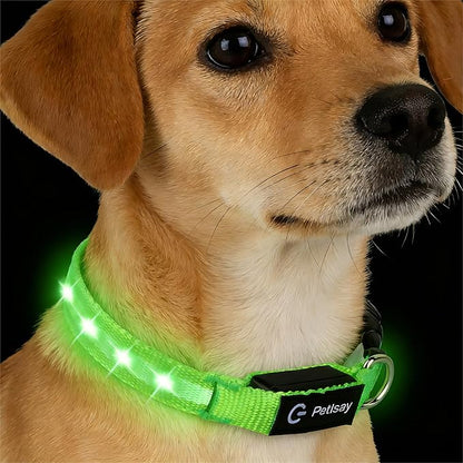 LED Dog Collar for Small Dogs & Toy Breeds – USB-C Rechargeable Light Up Dog Collar, Fully Waterproof Adjustable Glow Collar for Night Walking & Safety(Green,S)