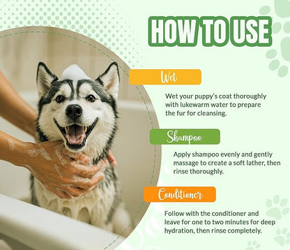 ALFIE'S CHOICE Dog Shampoo for Smelly Dogs | Fresh & Clean Shampoo and Conditioner Set | 16 fl oz Each | Lavender & Rosemary Deodorizing Wash | Odor Control for All Breeds | Made in USA