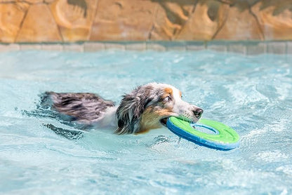 Chuckit! Amphibious ZipFlight Floating and Flying Disc Dog Toy, Medium (8.5"), Assorted Colors (Orange And Blue/Green and Blue)