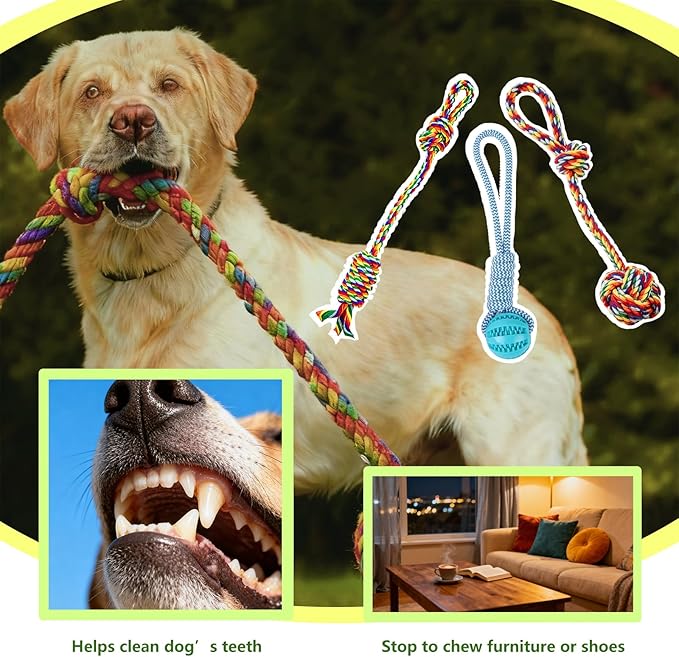Tether Tug Outdoor Dog Toy, Interactive Exercise Game for Yard & Park with 3 Rope Toys for Tug of War, Pull Chase and Solo Play for Large Medium Small Dogs