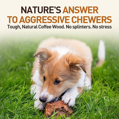 Wildfang® Briar Wood Chewing Root, XXL - Splinter Free Wood Dog Chew Toys for Aggressive Chewer, Odorless Natural Teething Toys Dogs Dental Health, Healthy Gums (for Dogs Over 132 lbs), Pack of 1