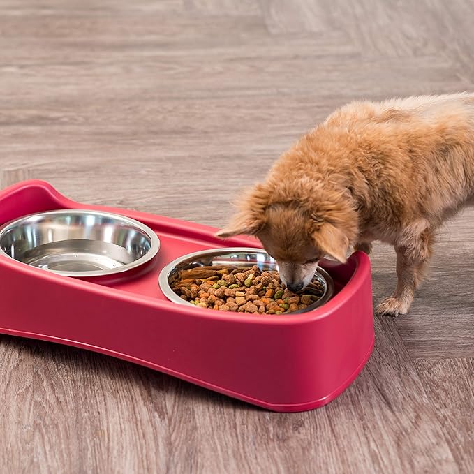 IRIS USA Adjustable Elevated Dog Bowls, Raised Feeder with 2 Stainless Steel 64 oz Bowls, Spill-Guard Rim, 12.25" or 4.63" Heights, Durable Plastic, Made in USA, Red