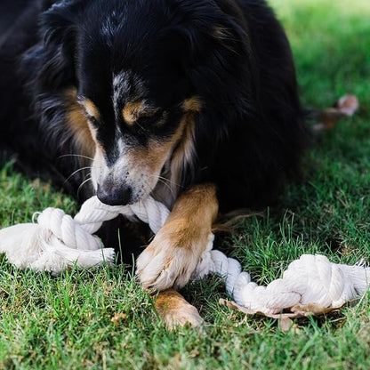 BOBA & VESPA Organic Natural White Cotton Tough Rope Toys for Dogs | USA Made | Chew Toys & Non-Toxic, Interactive Rope Toy for Small, Medium Dog to Large Dog (M (1" x 14" with 2 Knots))