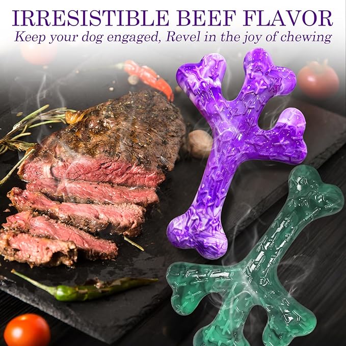 4 Pack (XL Cactus) Indestructible Tough Dog Toys for Aggressive Chewers: Beef Flavored Chew Bone for Large Dogs 20-90 lbs, Long Lasting & Keep Them Busy