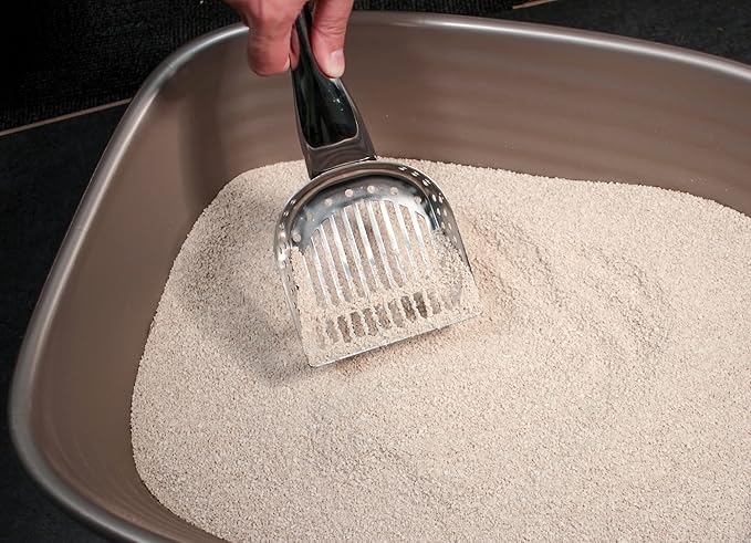 RSVP International Endurance Collection Stainless Steel Kitty Litter Scoop, 4.75x2.5x11.25"
