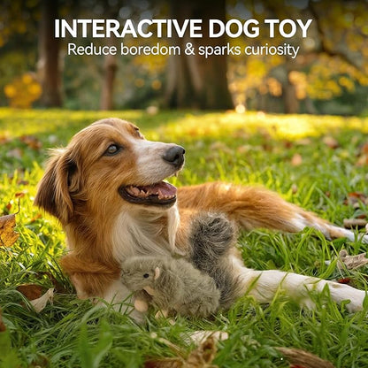 ALL FOR PAWS Classic Squirrel Pet Toys, Small