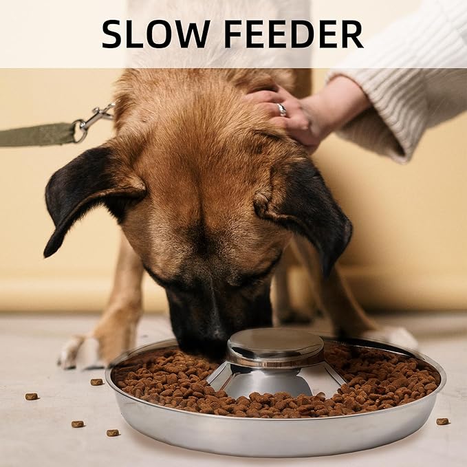 Stainless Steel Puppy Bowls, Set of 2 Puppy Feeder, Dog Food and Water Bowl, Food Feeding Weaning for Small Medium Large Dogs, Pets, S