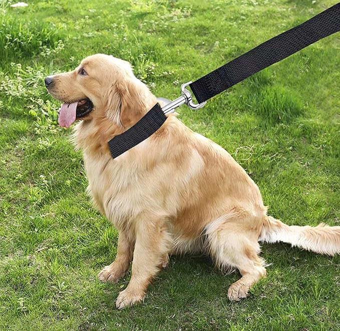 TAIAN 4FT/5FT/6FT Strong Dog Leash, Nylon Dog Leashes for Small Medium Large Dogs (5/8 in x 5 ft, Black)