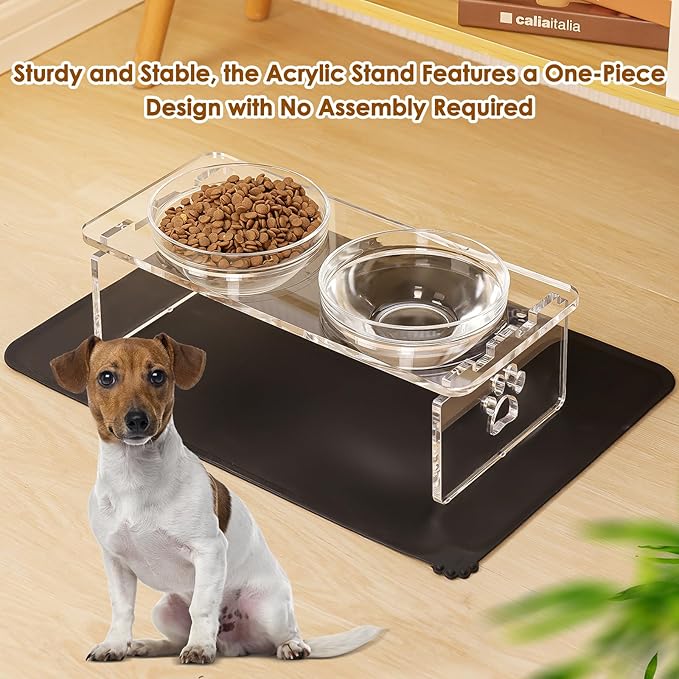 Elevated Dog Bowls for Medium Dogs – 5.5” Acrylic Raised Pet Feeder Stand with 2 Stainless Steel & 2 Glass Removable Bowls – Food & Water Dish Set