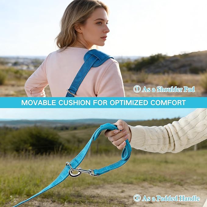 10FT Hands Free Dog Leash for Small Medium Large Dogs, Heavy Duty Reflective Dog Leash with Traffic Handle, Seat Belt Buckle & Poop Bag Holder (Blue)
