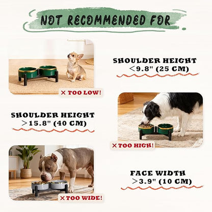 Elevated Ceramic Dog Bowl Set - Double Dishes with Stainless Steel Stand – Raised Feeding Bowls for Cats and Small Dogs - Food & Water Set - 5" / 1.6 Cups (160 g / 300 ml) - Green