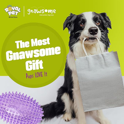Gnawsome™ 4.5” Spiky Squeaker Football Dog Toy - Large, Cleans Teeth and Promotes Good Dental and Gum Health for Your Pet, Colors Will Vary,All Breed Sizes
