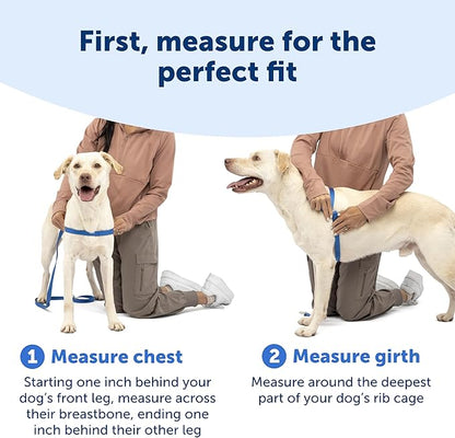 PetSafe Easy Walk Deluxe Dog Harness, No Pull Dog Harness – Perfect for Leash & Harness Training – Stops Pets from Pulling and Choking on Walks – Medium, Apple