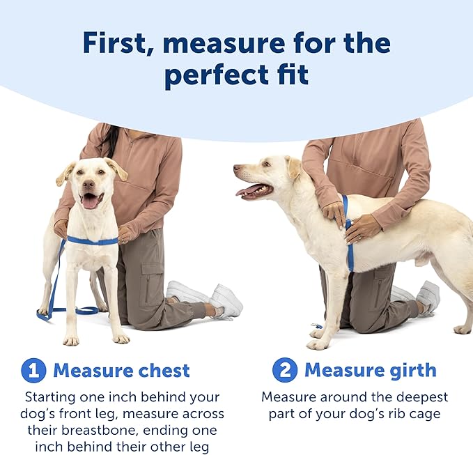 PetSafe Easy Walk Deluxe Dog Harness, No Pull Dog Harness – Perfect for Leash & Harness Training – Stops Pets from Pulling and Choking on Walks – Medium, Steel