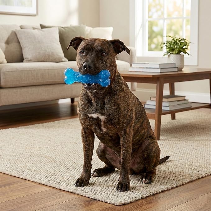 SPOT Play Strong Scent-sations Bone - Scent-Infused, Strong, Durable TPR Rubber, Heavy Duty Dog Toys for Aggressive Chewers up to 45lbs, Perfect for Puppies & Medium Breeds, 6in, Bacon Flavored