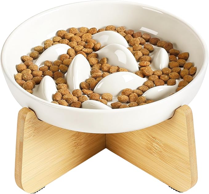 PETTOM Slow Feeder Cat Bowl with Stand, Ceramic Slow Eating Cat Bowl with Higher Edges Fish Pool Design Elevated Food Bowls for Dry and Wet Food Anti-Vomiting Puzzle Feeder for Healthy Eating Diet