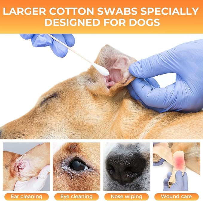 200PCS Large Cotton Swabs, Dog Cotton Swabs for Ears, 6" Long Dog Ear Swabs Large Size, Highly Absorbent Cotton Buds with Strong Bamboo Stick, Specially Designed for Dogs Cats Ear Cleaning, Pet Care