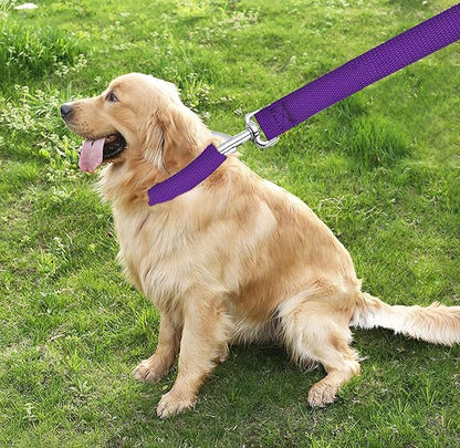 TAIAN 4FT/5FT/6FT Strong Dog Leash, Nylon Dog Leashes for Small Medium Large Dogs (5/8 in x 5 ft, Purple)