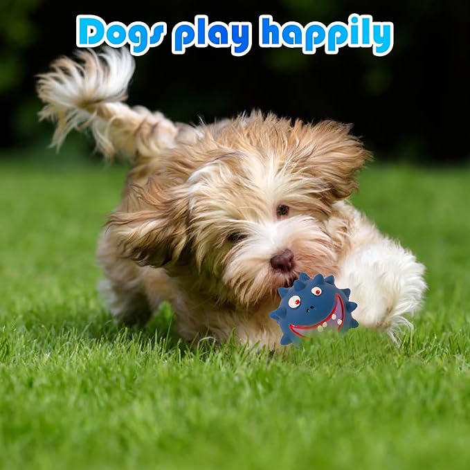 TTCOLATOPIA 4Pcs Squeaky Dog Toys Set - Natural Latex Rubber Balls for Large, Medium, Small Dogs - Aggressive Chewers Friendly - Cute Faces for Fun