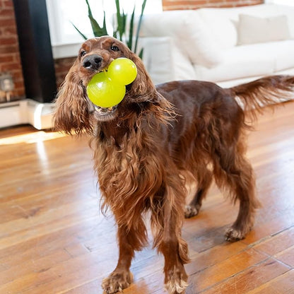 Outward Hound Double-Tuff Stuffable Dog Toy, Large 5-Inch Green - Treat Dispensing Chew Ball for Medium to Large Dogs, Interactive Puzzle for Enrichment & Slow Feeding (Pack of 2)