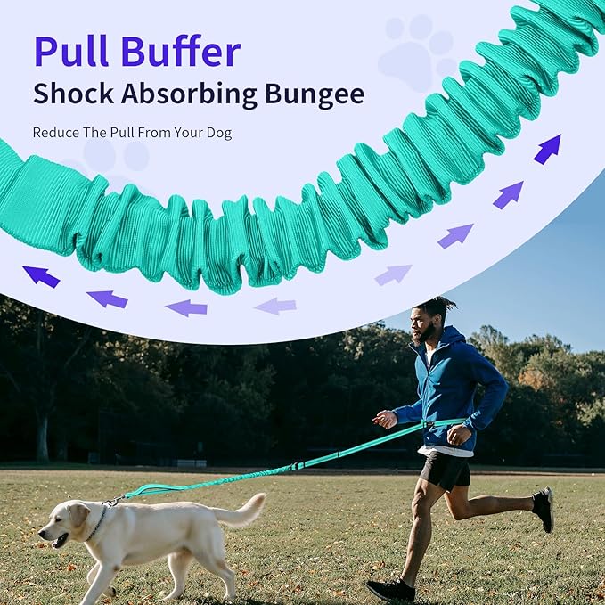 Kazazoo Hands-Free Dog Leash with 5.5-8.5FT Adjustable Length - Heavy Duty No Pull Bungee Design, Reflective Safety for Walking, Jogging & Training | Suitable for Medium to Large Dogs,M size-Green-New