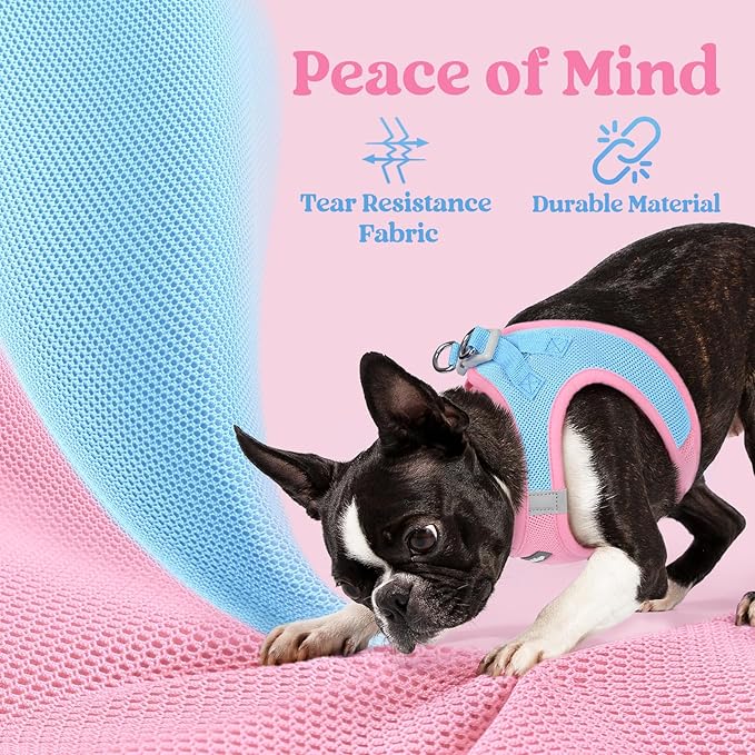 rabbitgoo Small Dog Harness, Step-in Soft Mesh Puppy Vest with Safety Buckle, Breathable Reflective Pet Harness for Small Sized Dogs, Blue & Light Pink S