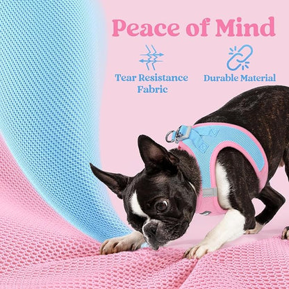 rabbitgoo Small Dog Harness, Step-in Soft Mesh Puppy Vest with Safety Buckle, Breathable Reflective Pet Harness for Small Sized Dogs, Blue & Light Pink M