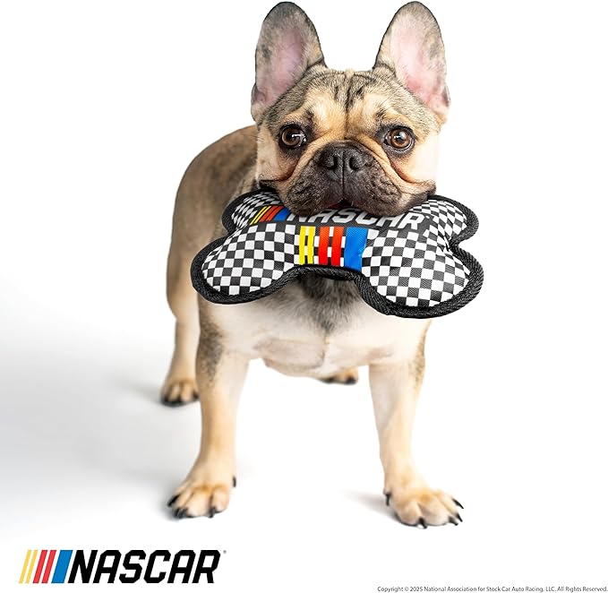 design LAB, Inc. NASCAR Official Merchandise | NASCAR Toy Bundle with Ballistic Race Car Helmet & Bone | Dog Chew Toys Value Gift Pack