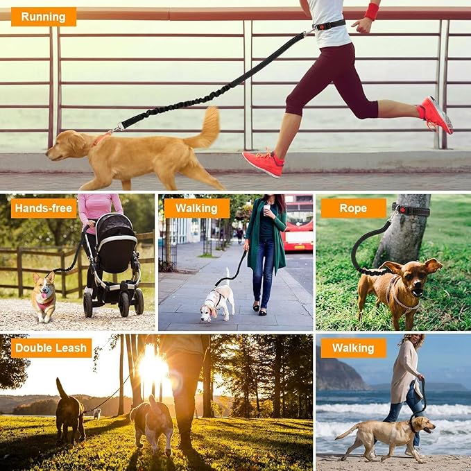 39.30Inch Bungee Dog Leash Waist,Hands Free Dog Leash Slip for Walking Hiking Running (Lumbar Waist Belt 26"-43")