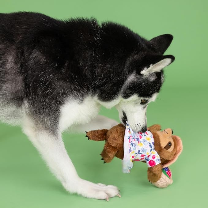 Fringe Studio Plush Dog Toy, Sunday’S Best, Petshop Collection (314317)