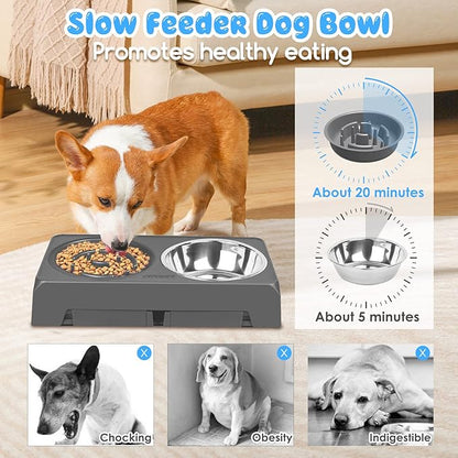 URPOWER Raised Dog Bowls 4 Height Adjustable Elevated Bowl Stand with Stainless Steel Water Bowl Non-Slip Dog Food Bowls Stand for Small Medium Large Dogs and Pets