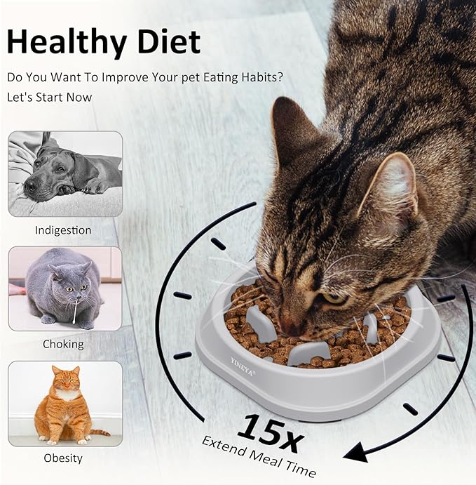 2PCS Anti-Choking Slow Feeder Dog Bowls Small Size Dog, Slow Feeder Cat Bowl, Supplies and Puzzle for Pet
