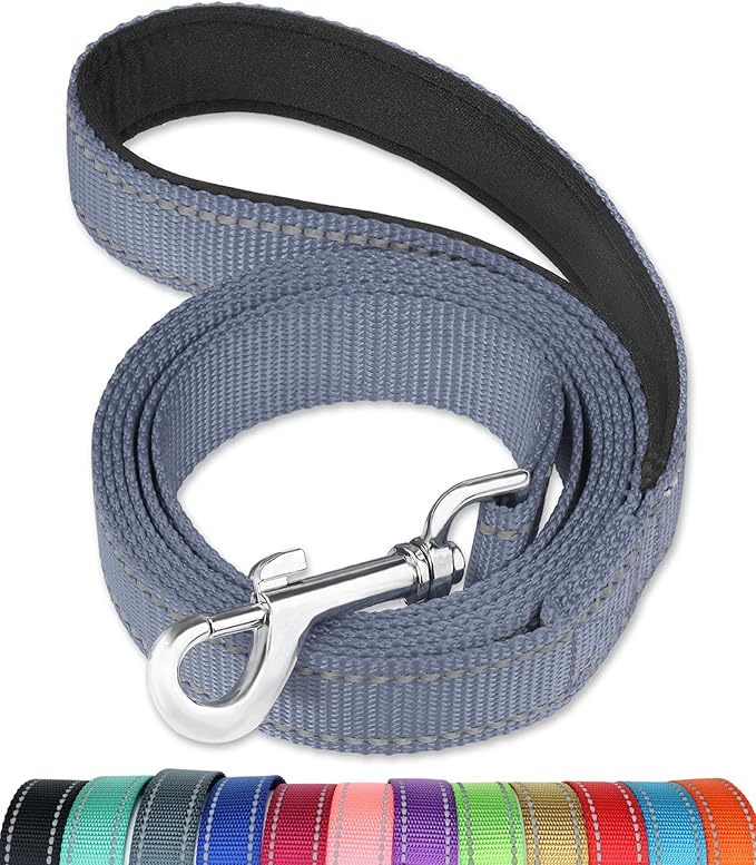 FunTags 6FT Reflective Dog Leash with Soft Padded Handle for Training,Walking Lead for Large & Medium Dog,1 Inch Wide,Grey