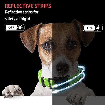Reflective Dog Collar with Safety Locking Buckle, Adjustable Soft Breathable Nylon Collars for Small, Medium and Large Dogs(Collar+Leash M Green)