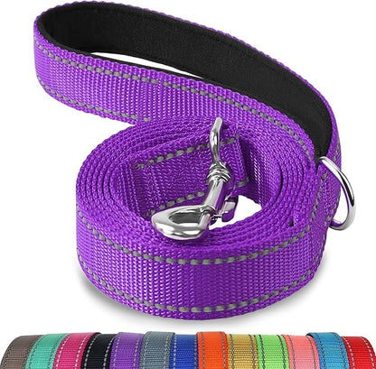 Joytale Dog Leash, 5 FT Double-Sided Reflective, Padded Handle Nylon Heavy Duty Leashes for Medium & Large Dogs Walking, Purple