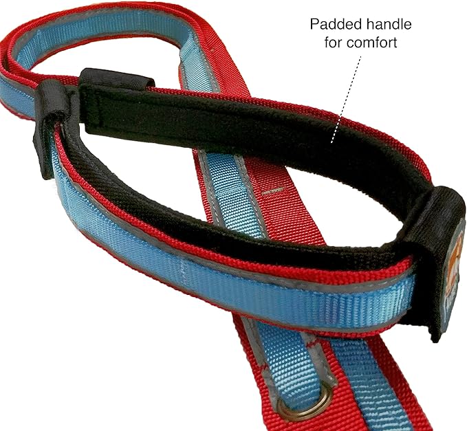Kurgo Quantum Leash 2.0 - Versatile for Running or Walking - 6 in 1 Dog Leash - Hands-Free Dog Leash - Adjustable - Strong & Durable - Black/Orange