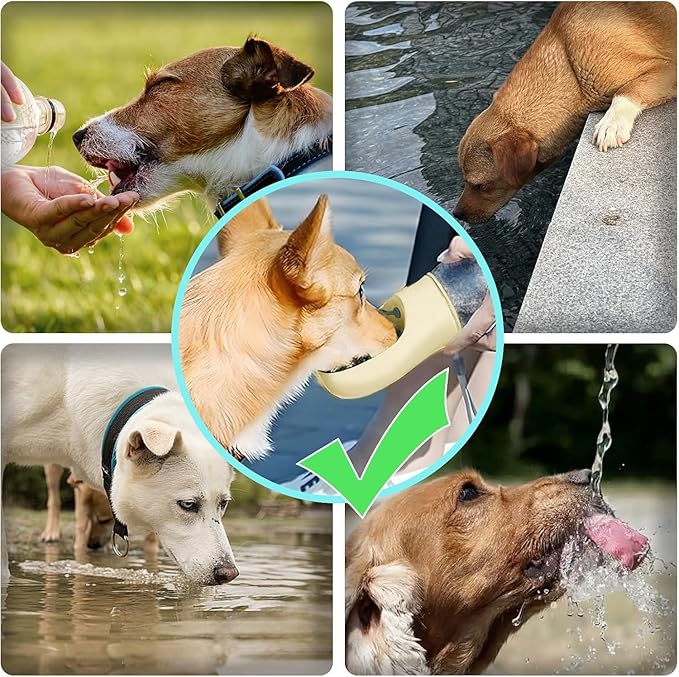 Portable Dog Water Bottle, 12 oz, Leak-Proof Travel Pet Dispenser, Teal,Puppy Water Dispenser with Drinking Feeder for Travel